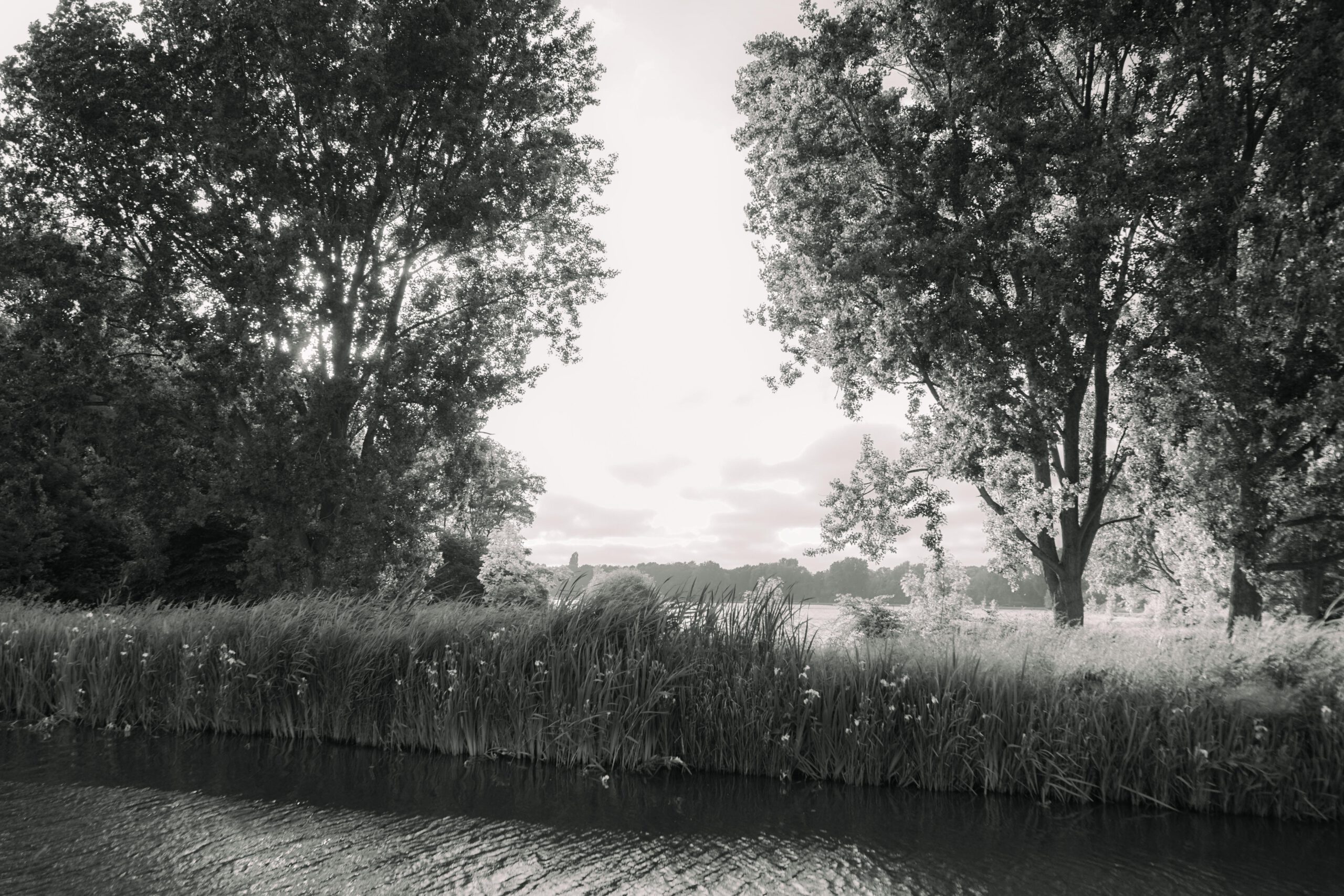 DSC08291-1