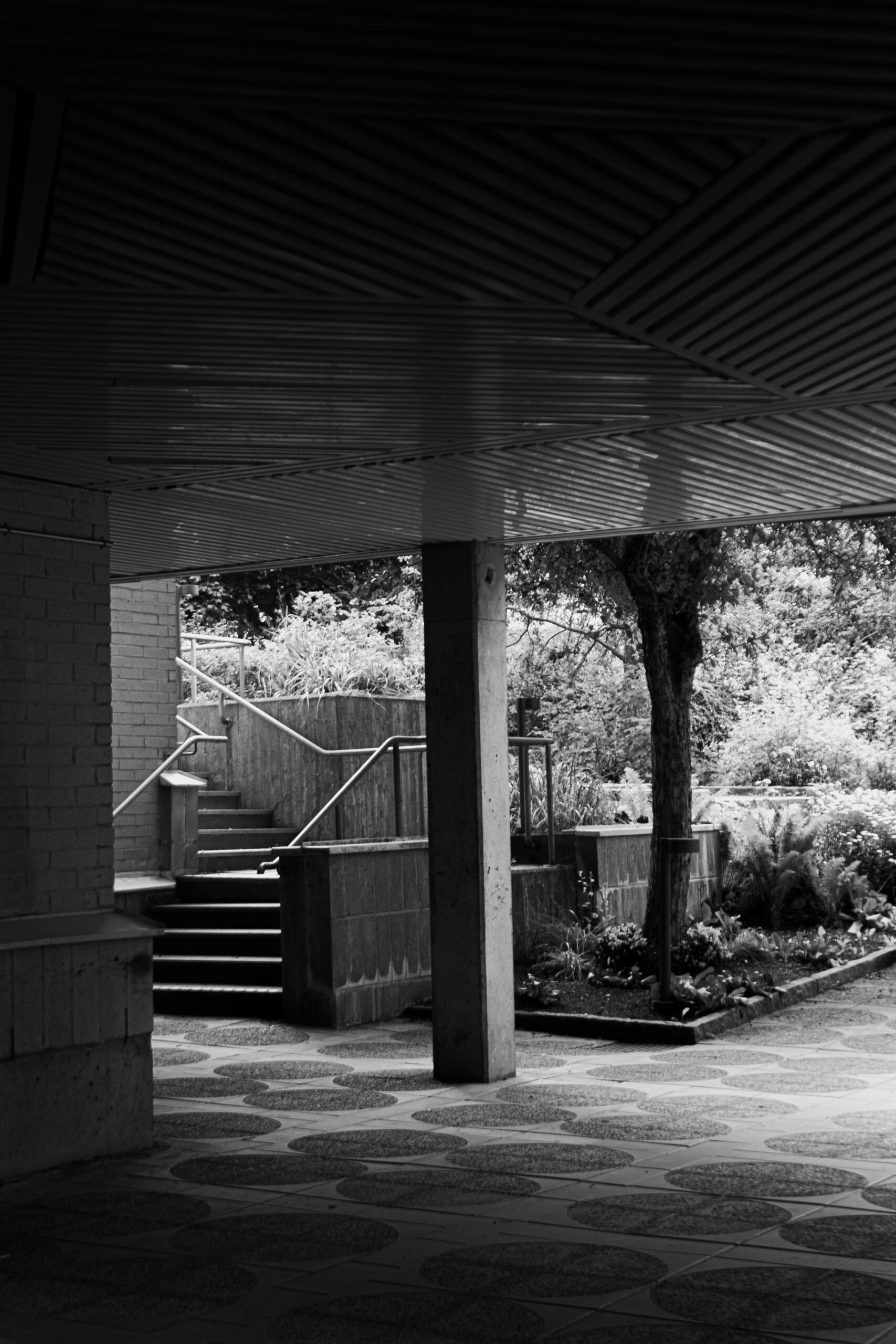 DSC09667-1 DSC09667-1